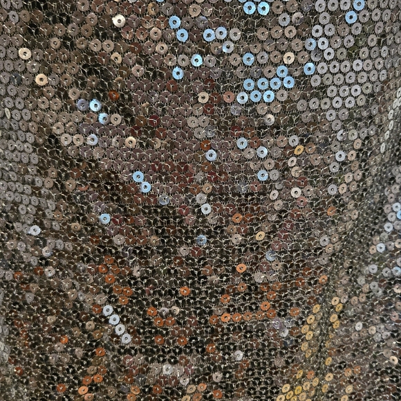 Jeanne Beker Gray Sequin Top EUC - Picture 3 of 8